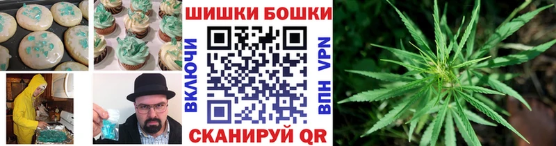 Купить где  Полысаево  Canna-Cookies конопля 