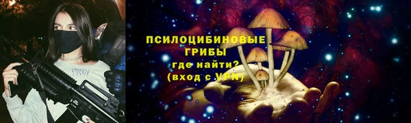 тгк Лагань
