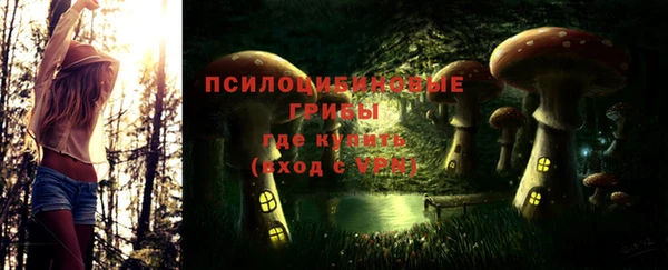 герыч Ладушкин