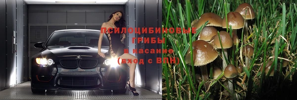 герыч Ладушкин