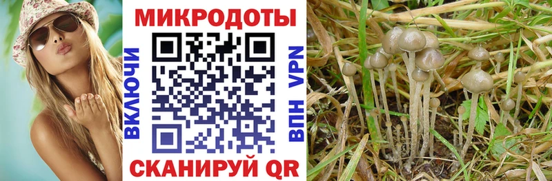 Галлюциногенные грибы Cubensis  Купить закладки  Полысаево 